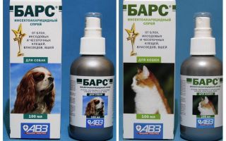 Spray Spray de puces pour chiens et chats