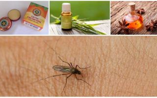 Översikt över folkmekanismer för myggor och midger i naturen