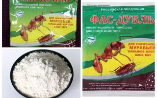 Betekent Fas tegen kakkerlakken: tabletten, gel en poeder