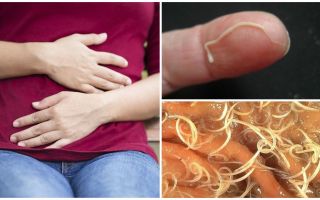 Ảnh hưởng của pinworms đối với con người