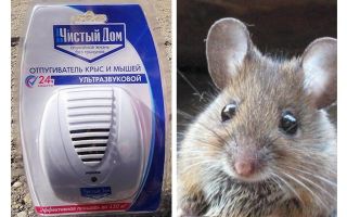 Repellerul ultrasonic de la șobolani și șoareci Clean house