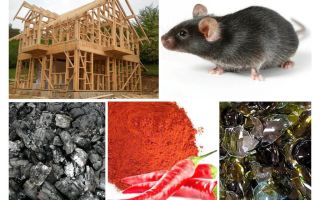 Bescherming van het frame huis tegen muizen