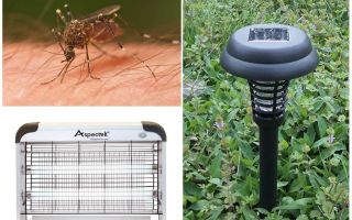 Lichten van muggen voor op straat en thuis