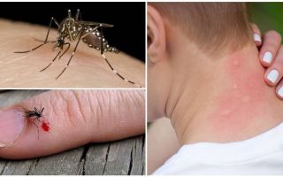 Ce se întâmplă dacă un țânțar mușcă