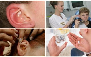 Tik in het oor van een persoon: symptomen en behandeling