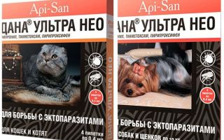 Dana Ultra Neo druppels van vlooien voor katten en honden