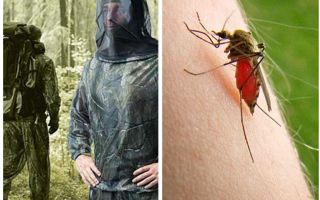 Vêtements de moustiques, tiques et moucherons - un aperçu