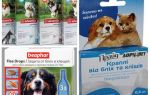 Remédios contra pulgas e carrapatos para cães