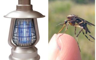 Eletrolamp contra mosquitos Terminator