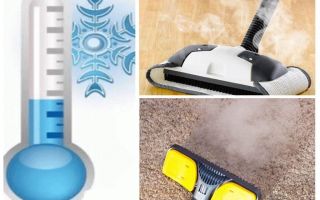 Как да се отървете от инсектициди от килимни бълхи и импровизирани средства