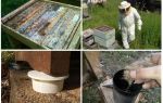 Hur bli av med myror i apiary folkmekanismer