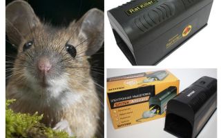 Electro-capcana de șoareci