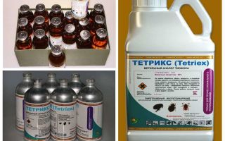 Tetrix botemedel mot bedbugs