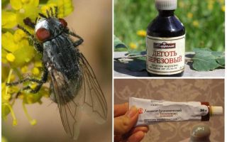 علاج ل gadflies و horseflies للبشر