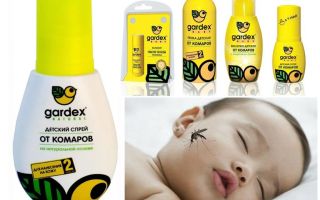 बच्चों के लिए Gardex मच्छर प्रतिरोधी