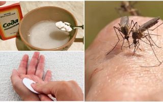 Çocuklar ve yetişkinler için sivrisinek ısırıkları soda çözeltisi