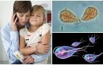 Jak léčit Giardia u dětí Dr. Komarovsky