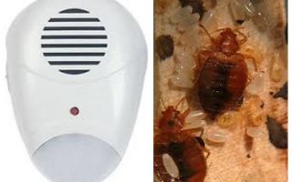 Repeller Pest Repeller från bedbugs