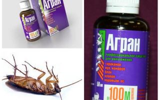 علاج Agran عن الصراصير