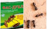 Signifie Fas-Double contre les fourmis