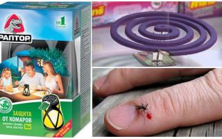 Как да се отървете от комарите в страната
