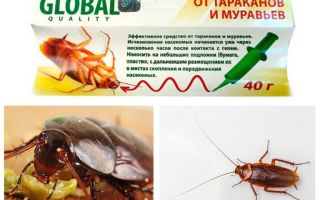 Kackerlacka Remedy Global (Global)
