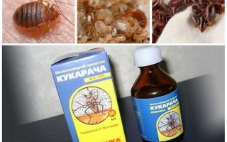 Cucaracha botemedel mot bedbugs