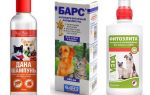 O shampoo de pulgas mais popular e eficaz para cães