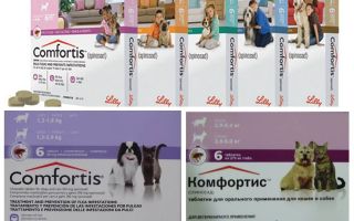 Flea-tabletten voor honden en katten