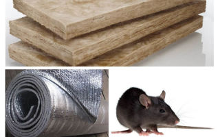 Loại vật liệu cách nhiệt nào không ăn chuột và chuột