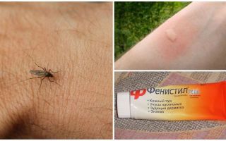 Co a jak odstranit svědění z kousnutí komárů u dítěte a dospělého