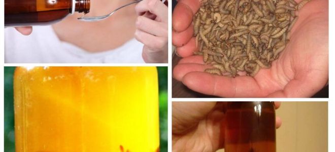 Bee motten tinctuur: wat het behandelt en hoe het te gebruiken