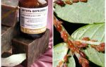 Come diluire il catrame di betulla irrorandolo dagli afidi