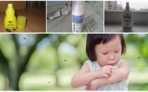 Mijloace eficiente de țânțari pentru copii de la 1 an