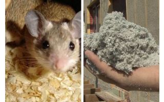 Ce fel de izolare nu mănâncă șoareci