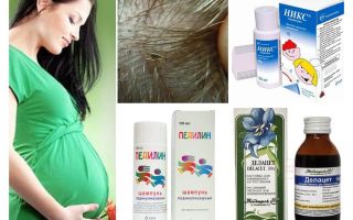 Come curare la pediculosi durante la gravidanza e l'allattamento