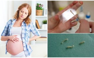 Cum să tratați viermii de rinichi la femeile gravide
