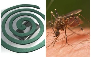 Mosquito spoelen