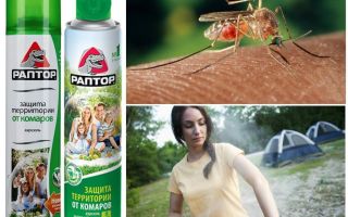 Teritorijas aizsardzība pret odiem Raptor