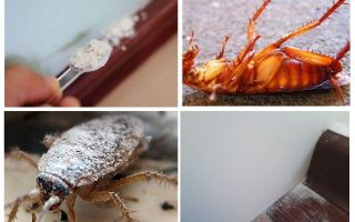Overzicht van kakkerlakkenstof