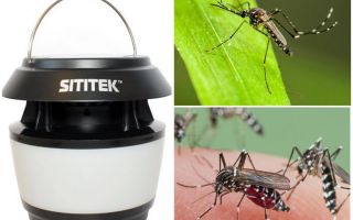Exterminador de mosquitos SITITEK Sadovy-M