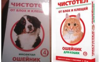 Flea celandine halsband voor katten en honden