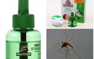 Eszközök Raptor a szúnyogok számára