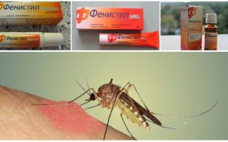 Gel Fenistil från myggbett: instruktioner, recensioner och analoger