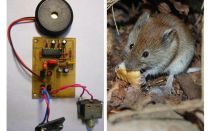 Șobolani și șoareci repelători ultrasonici cu mâinile lor