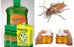 Come e cosa avvelenare gli scarafaggi a casa