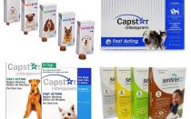 Tabletter för loppor och fästingar för hundar