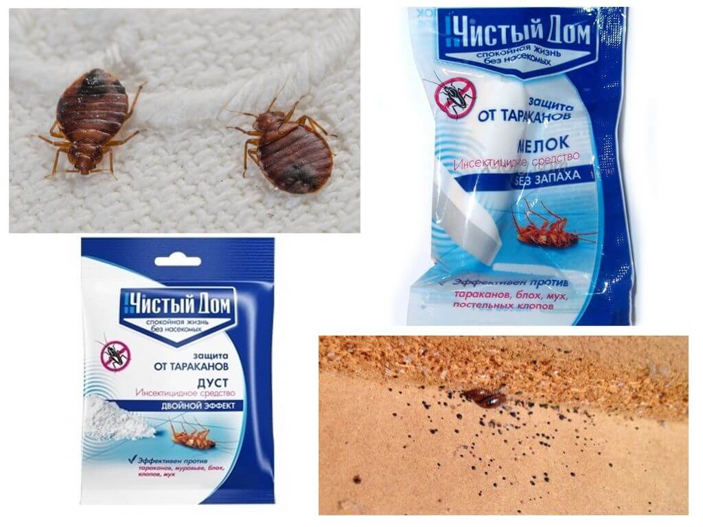 Dust Clean House da bedbugs-1