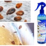 Spray Clean House Bugs