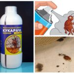 Cucaracha khắc phục cho bedbugs